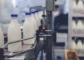 Kyrgyzstan’s milk production maintains positive growth trend