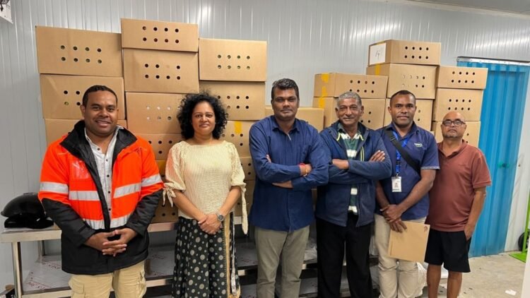 Fijian produce reaches Naoero market – FBC News