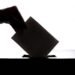 Voter ID card distribution begins Monday in Roseau North