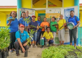 Kalinago families receive tools and training to strengthen food security and resilience