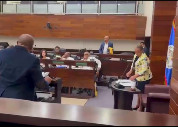 BTL-Speednet Protest Divides Senate, Wade Stands Alone