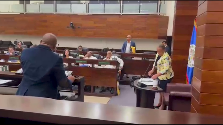 BTL-Speednet Protest Divides Senate, Wade Stands Alone