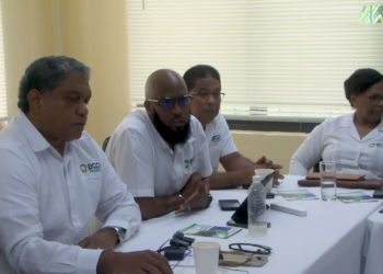 Will Chamber Leave the Boardroom for the Streets?