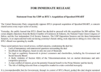 UDP Warns Against Rushed BTL/Speednet Deal