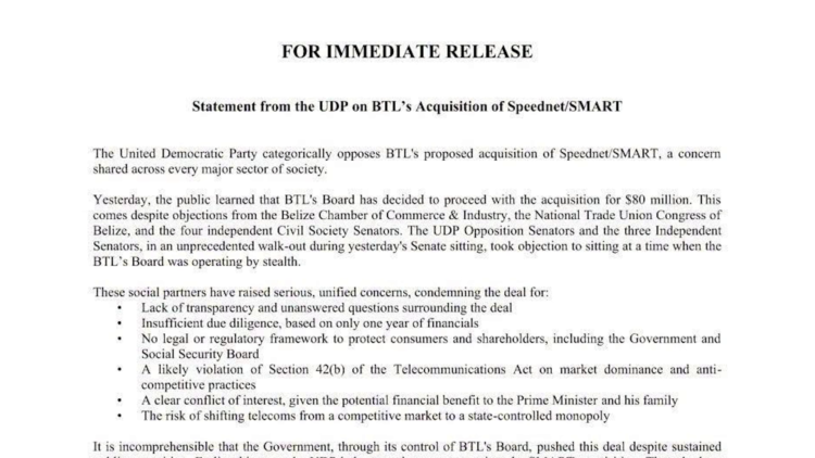 UDP Warns Against Rushed BTL/Speednet Deal