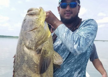 Autopsy Concludes Samuel Chi Died From Drowning