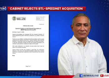 BTL-Speednet Acquisition Fails to Win Cabinet Support