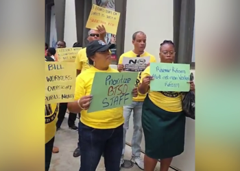 Public Service Union Challenges SARA’s Concentration of Power