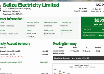 UDP Demands Forty-Million-Dollar Power Relief