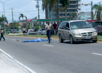 Seventy-Seven-Year-Old Erlene Gillett Killed by Van