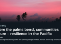 Where the palms bend, communities endure – resilience in the Pacific