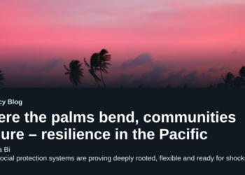 Where the palms bend, communities endure – resilience in the Pacific