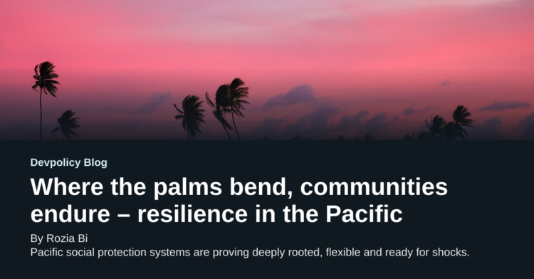 Where the palms bend, communities endure – resilience in the Pacific