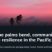 Where the palms bend, communities endure – resilience in the Pacific