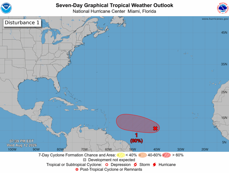 AL92 Likely to Become Tropical Depression Before Approaching Lesser Antilles This Weekend