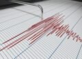 Earthquake hits Türkiye – Trend.Az