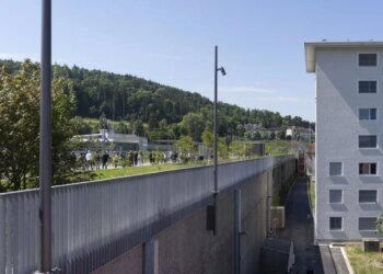 Zurich steps up efforts to replace asphalt with trees