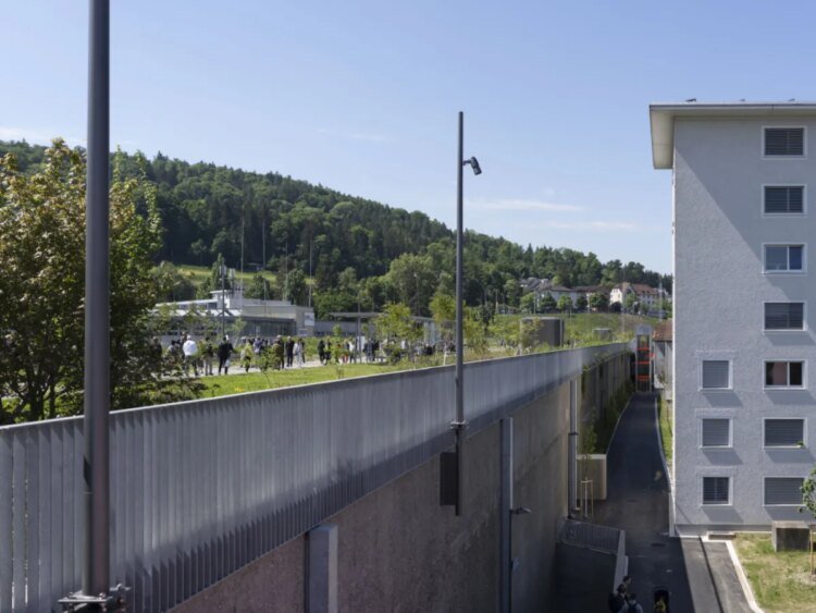Zurich steps up efforts to replace asphalt with trees