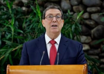 Transition: The Cuban Foreign Minister denounces the Harvard report, despite its proposals