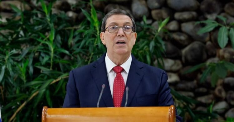 Transition: The Cuban Foreign Minister denounces the Harvard report, despite its proposals