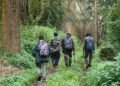 ₹100 crore to strengthen T.N. forest field workforce; 200 schools, five colleges to become Blue-Green campuses