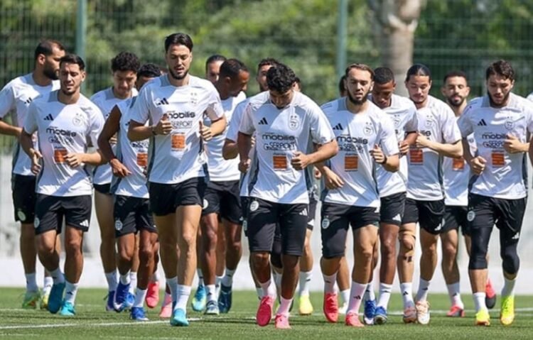 Hamdani will not summon this player – Al-Shorouk Online