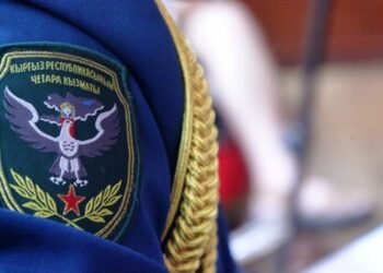 Lieutenant Colonel of the Border Service was grabbed by the neck during an inspection: the warrant officer was fined 50,000 soms