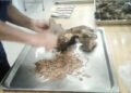 Life in the regions: Sagynbek Irsaliev from Tyup was invited to the Ala-Archa state residence to cut meat for a treat for the leaders of 12 countries