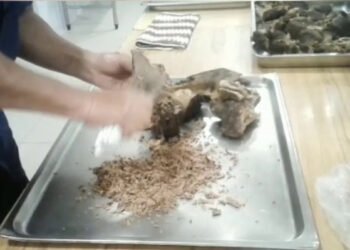 Life in the regions: Sagynbek Irsaliev from Tyup was invited to the Ala-Archa state residence to cut meat for a treat for the leaders of 12 countries