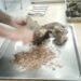 Life in the regions: Sagynbek Irsaliev from Tyup was invited to the Ala-Archa state residence to cut meat for a treat for the leaders of 12 countries