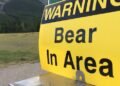 Woman injured in bear attack in Whistler backcountry