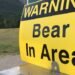 Woman injured in bear attack in Whistler backcountry