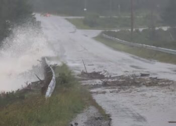 ‘We’ve never experienced anything to this size and effect’: Torrential rain batters Cape Breton