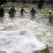 Belugas transferred from Niagara Falls are under round-the-clock monitoring after deaths: Chicago aquarium