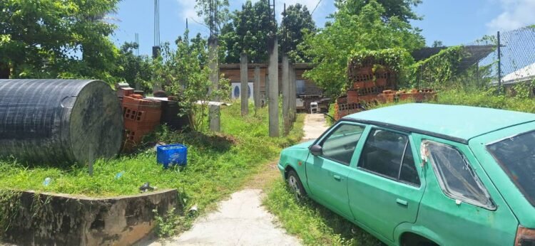 TOBAGO SCHOOLBOY HELD FOR MURDER. Accused of killing elderly relative following altercation at home