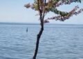 Where does the name Lake Ontario come from?