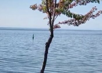 Where does the name Lake Ontario come from?