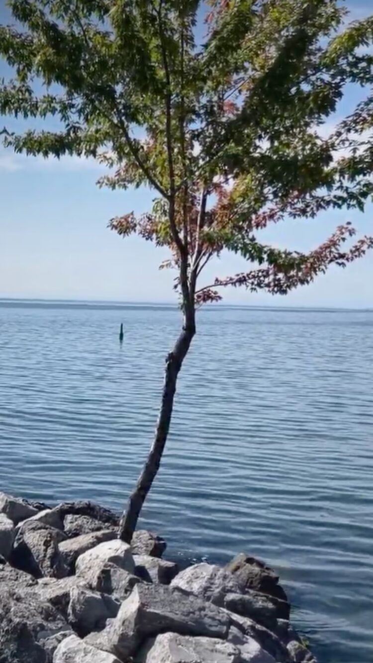 Where does the name Lake Ontario come from?