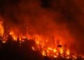 Wildfires, permafrost melt in Canada causing even more climate change, new study shows