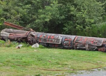 World’s tallest totem pole comes down in Alert Bay, B.C., after more than 50 years