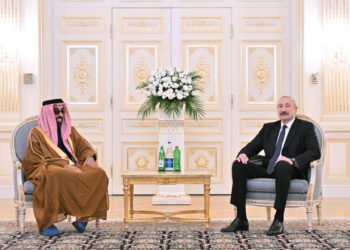 President Ilham Aliyev receives UAE National Security Advisor (PHOTO/VIDEO)