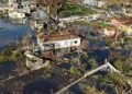 Donna Parchment Brown | Hurt people, blue tarpaulins and broken businesses | In Focus