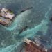 ‘Rising seas are sinking futures’