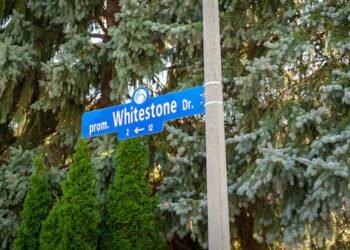 Trump Avenue sign goes missing before official name change