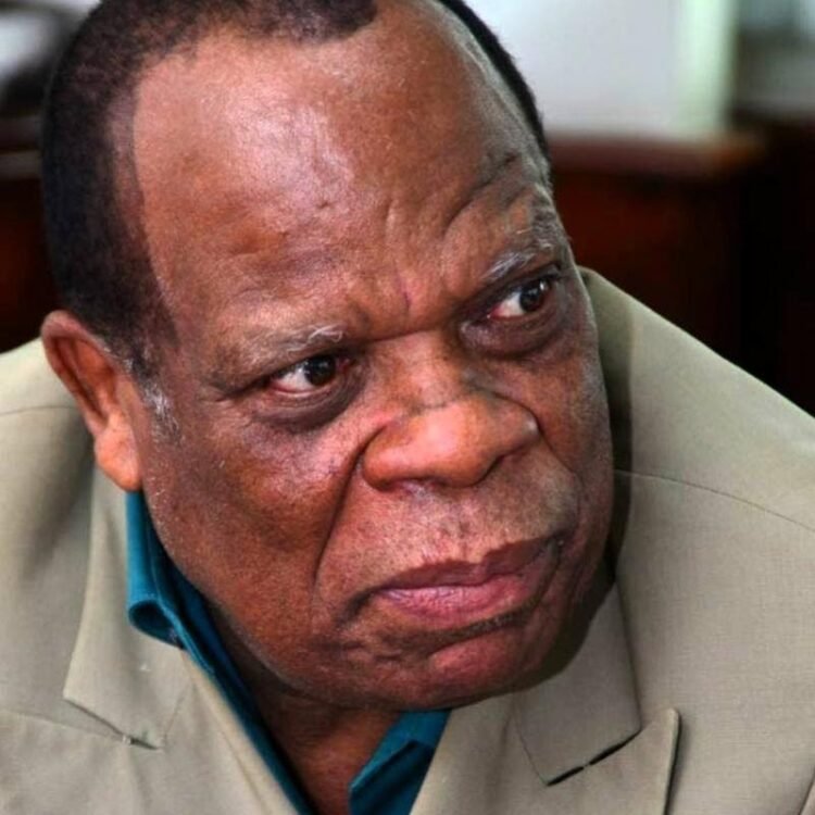 Trevor Hamilton | Myths about the Jamaican education policy imperatives | In Focus