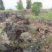 Province buys southwestern Manitoba campsite believed to hold unmarked residential school graves