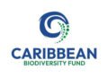 Action Bequia Inc. selected for CBF BluEFin Seed Funding