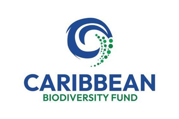 Action Bequia Inc. selected for CBF BluEFin Seed Funding