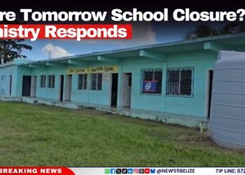 More Tomorrow School Closure? Ministry Responds