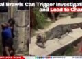 Viral Brawls Can Trigger Investigations and Lead to Charges